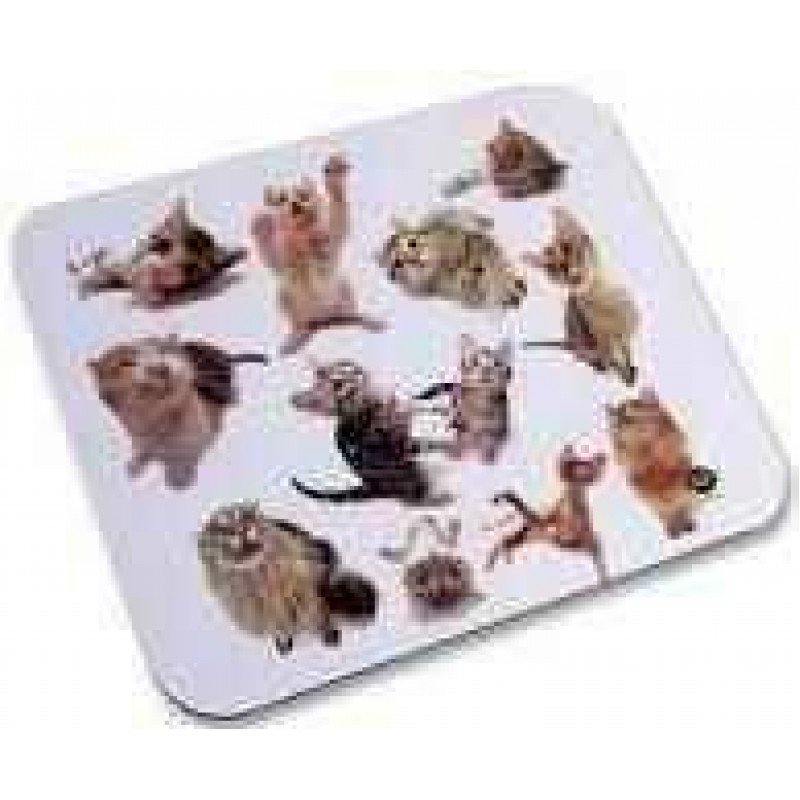 MOUSEPAD PCV KITTENS ALLSOP 06915