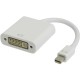 DISPLAY PORT MINI 0.20m TO DVI FEMALE WHITE 18156