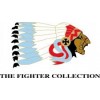 The Fighter Collection